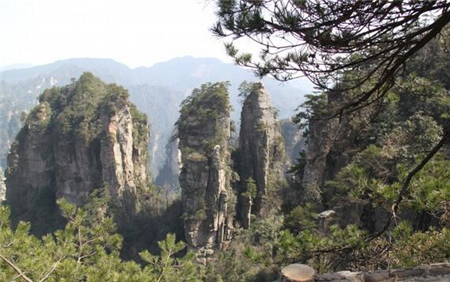 新乡蛋托厂家说五一小长假,来一场说走就走的旅行